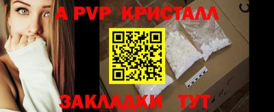 бошки Шелехов