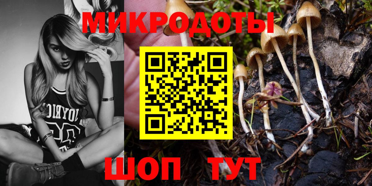 Псилоцибиновые грибы MAGIC MUSHROOMS  Тулун  Псилоцибиновые грибы GOLDEN TEACHER 