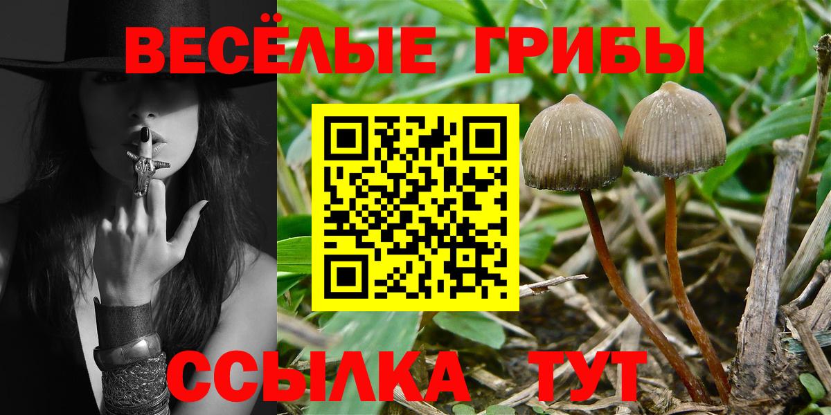Галлюциногенные грибы Magic Shrooms  Псилоцибиновые грибы MAGIC MUSHROOMS  Вход с VPN  Тулун 